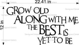 Grow Old Together Wall Decal - Inspirational Home Decor Sticker
