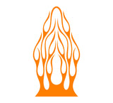 Flame Graphics Decals for Auto Truck Car Hoods - Dynamic HH47 Design
