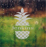 Pineapple Etched Glass Decals Vinyl Shower Door Window