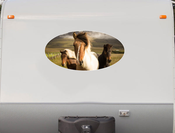 Three Horses RV Camper Decal – Printed & Laminated Vinyl | StickerChef