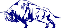 Bison Buffalo Flame Decal for Auto Truck or Boat - AF13 Sticker